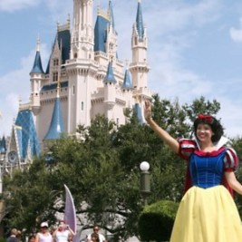 Road Trip: Where to go for summer vacation, according to AAA survey