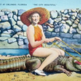 Odd laws and outlaws: Excuse me while I park my alligator