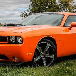 Men show ‘striking’ preference for unusual vehicle colors