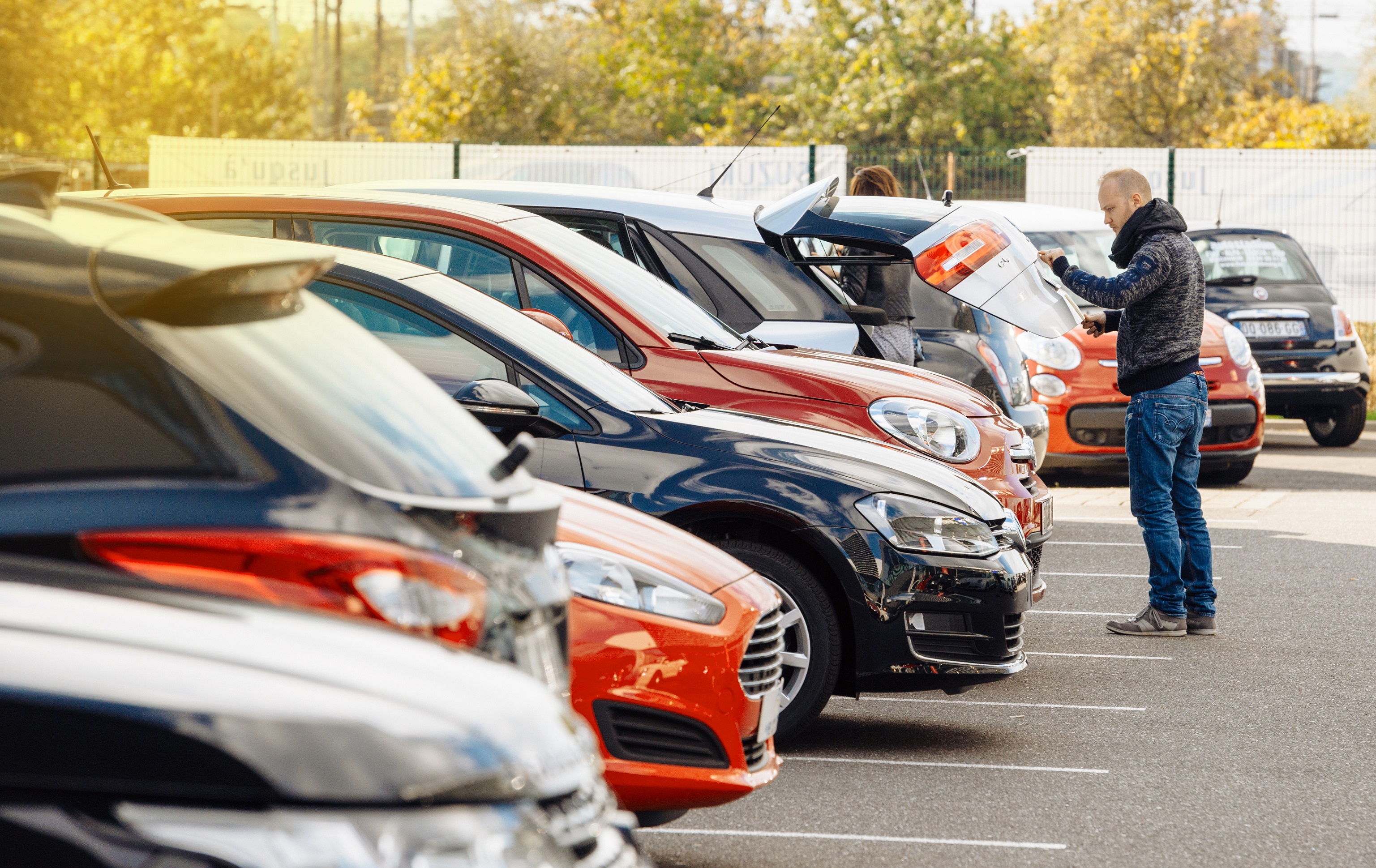 Man looking at line of used cars