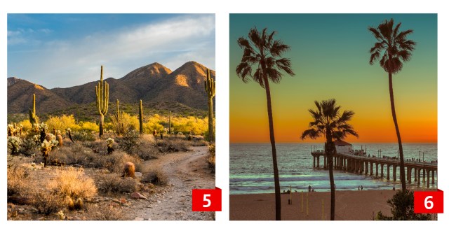 An image collage of a landscape with cacti and a Californian beach.